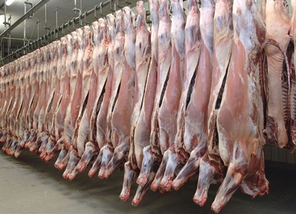 JetSpray reduce la pérdida de peso de las reses