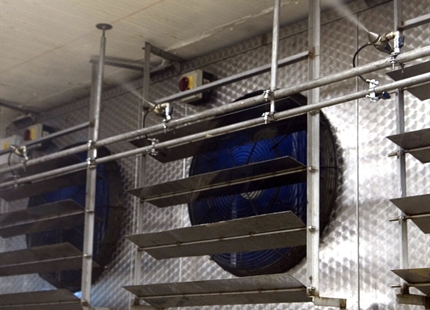 JetSpray aumenta en $1M las ganancias anuales de una productora de pescado